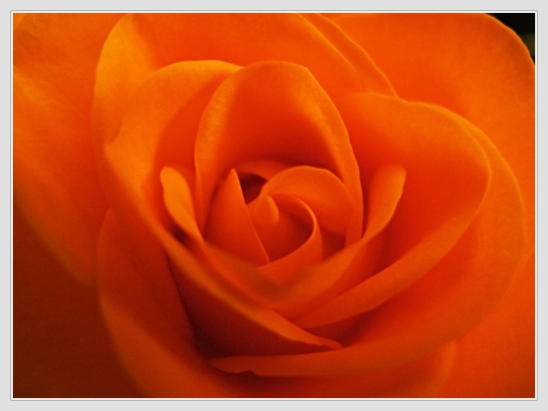 Copyright Don RoMiFe Michael Rousek