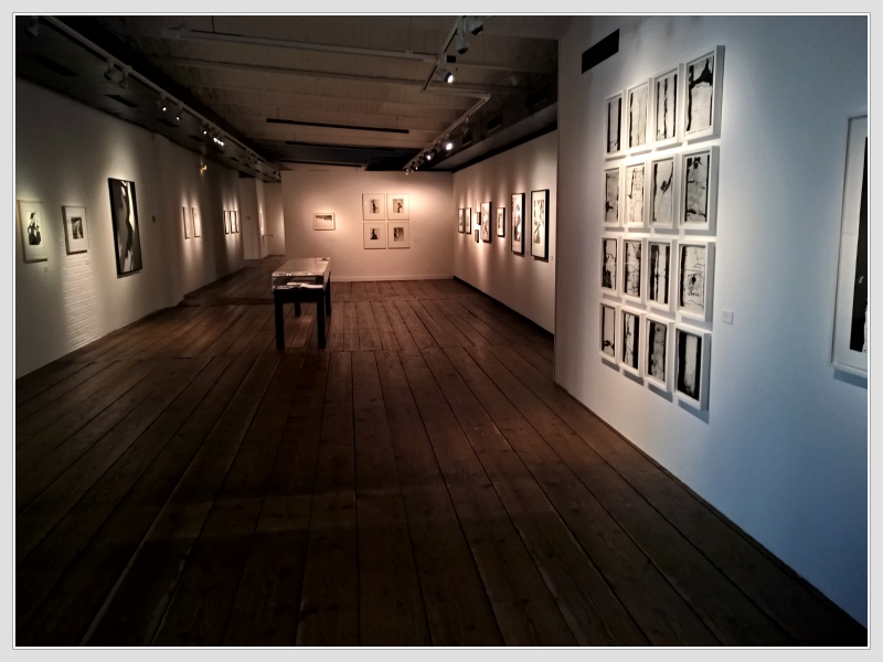 Kunst Haus Wien Copyright Don RoMiFe Michael Rousek