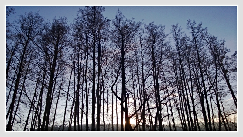 Copyright: Don RoMiFe Michael Rousek
