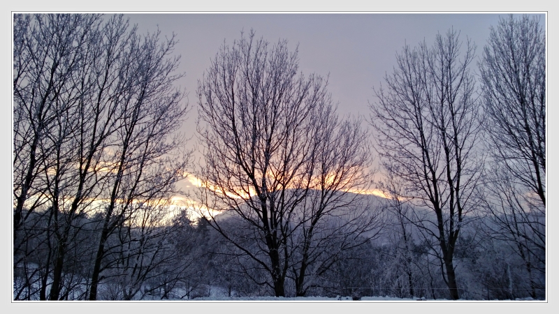 Copyright: Don RoMiFe Michael Rousek