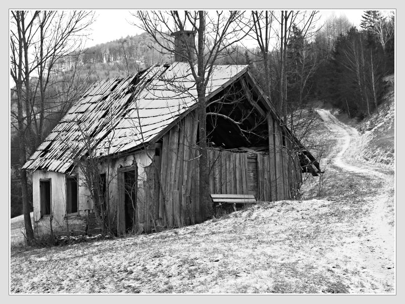 Copyright Don RoMiFe Michael Rousek