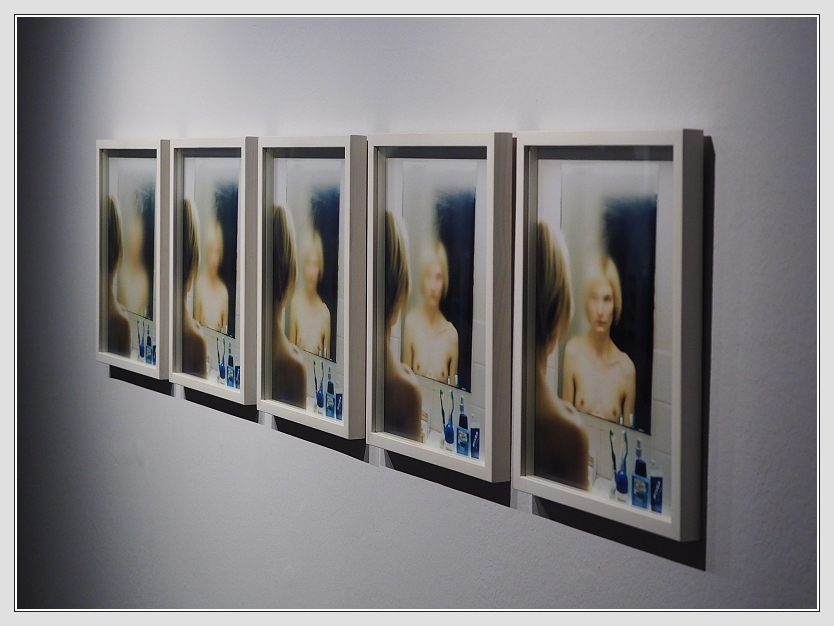 Ausstellungserffnung Elina Brotherus im Kunst Haus Wien - Report by Don RoMiFe