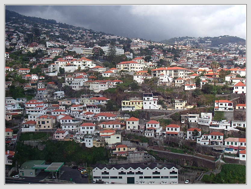 Blumeninsel Madeira Foto: Don RoMiFe