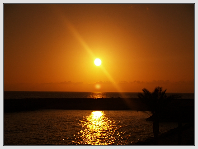 Blumeninsel Madeira Foto: Don RoMiFe