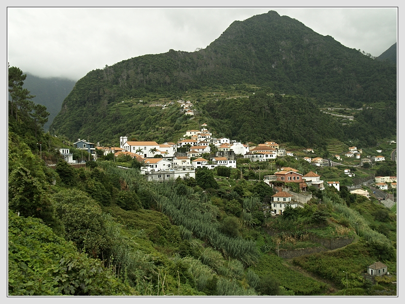 Blumeninsel Madeira Foto: Don RoMiFe