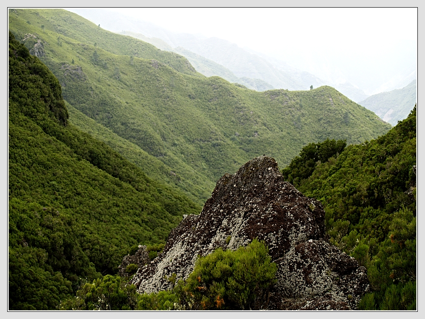 Blumeninsel Madeira Foto: Don RoMiFe