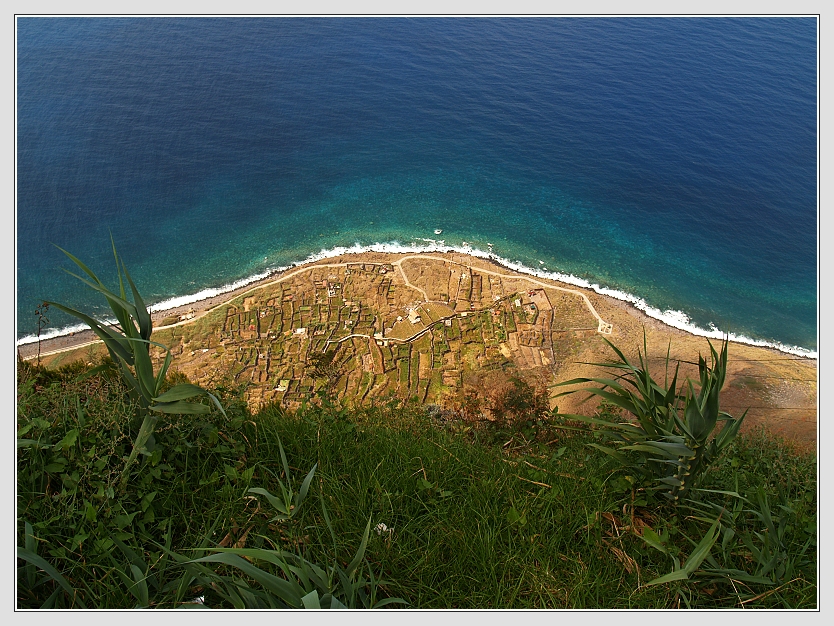 Blumeninsel Madeira Foto: Don RoMiFe