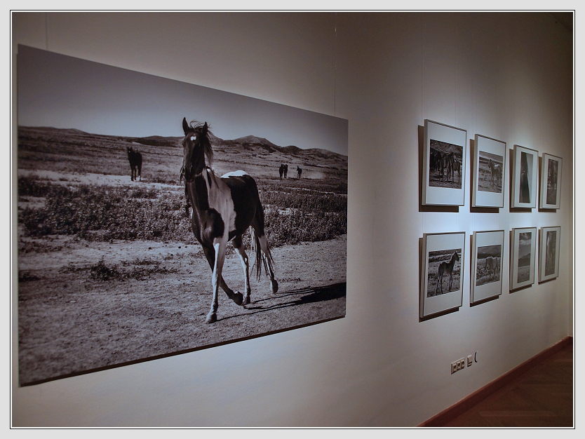 Ausstellungserffnung "Mustangs" - Report by Don RoMiFe
