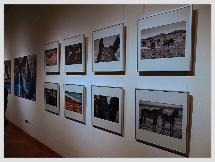 Ausstellungserffnung "Mustangs" - Report by Don RoMiFe